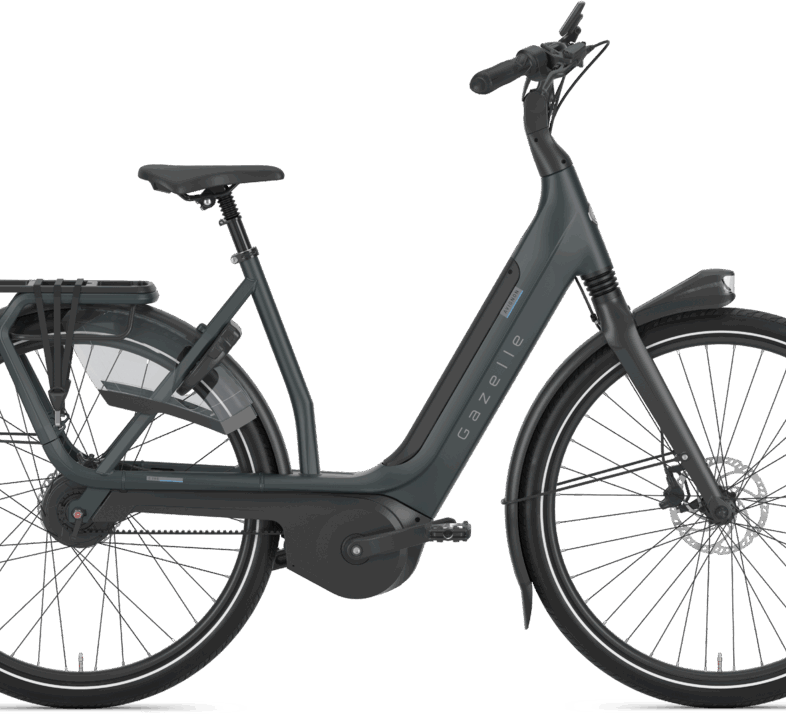 Gazelle AVIGNON C8 HMB BELT Dame - Grå