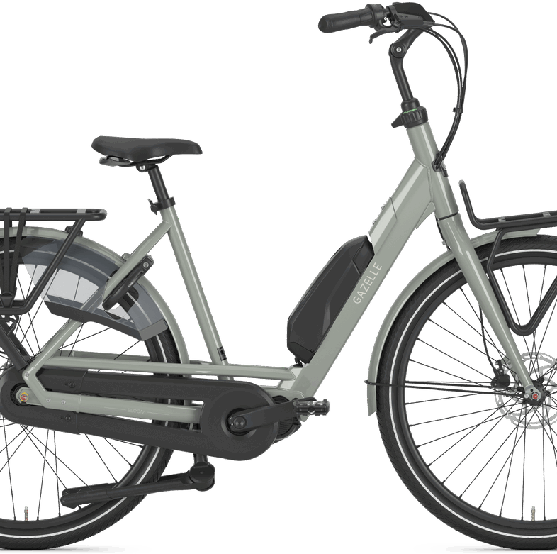 Gazelle Bloom C310 HMS Dame 2025 - Clay Green