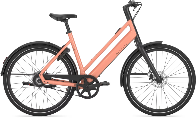Gazelle Curb C1 Dame 2027 - Soft Peach Blank