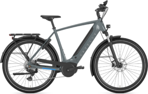 Gazelle ULTIMATE T10 HMB Herre 2024 - Grå