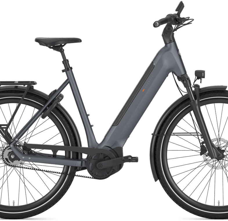 Gazelle Ultimate C5+ Dame 2026 - Meteor Grey Mat