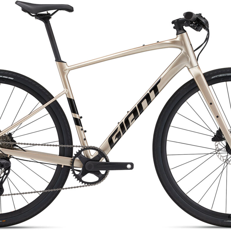 Giant FastRoad AR 1 2025 - Brun