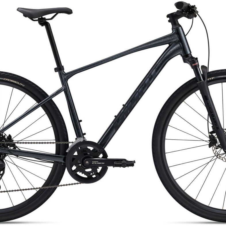Giant Roam Disc 1 2025 - Black Diamond