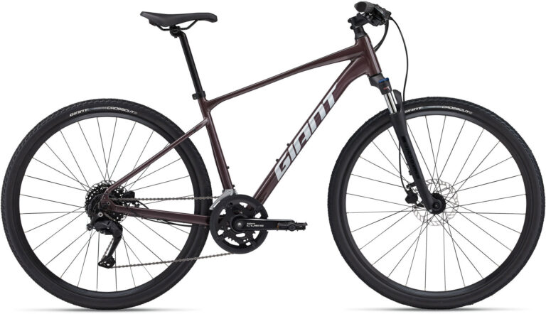 Giant Roam Disc 2 2025 - Charcoal Plum