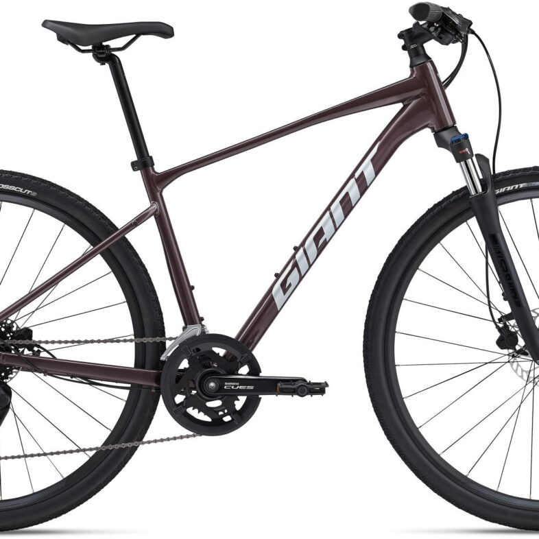 Giant Roam Disc 2 2025 - Charcoal Plum