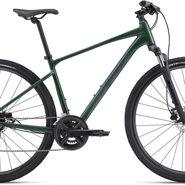 Giant Roam Disc 3 2025 Hunter Green Hybridcykel