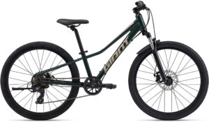 Giant Talon 24" Disc 2024 - Grøn