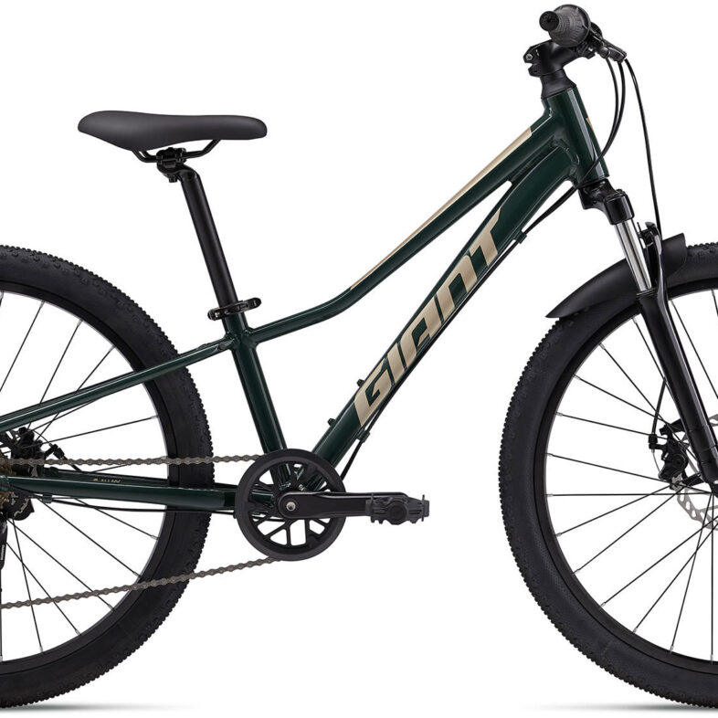 Giant Talon 24" Disc 2024 - Grøn