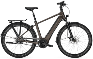 Kalkhoff IMAGE 5.B MOVE+ 625wh Herre - Grå