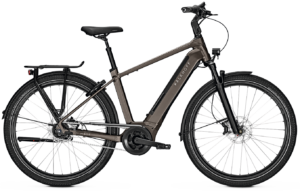 Kalkhoff IMAGE 5.B MOVE+ R 625wh Herre - Grå