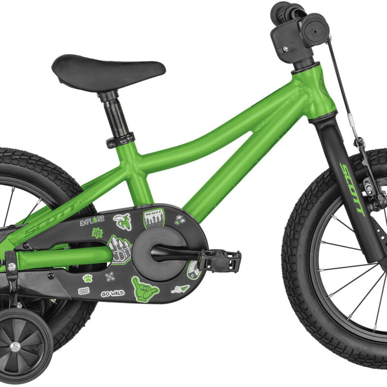 Scott Roxter 14 2024