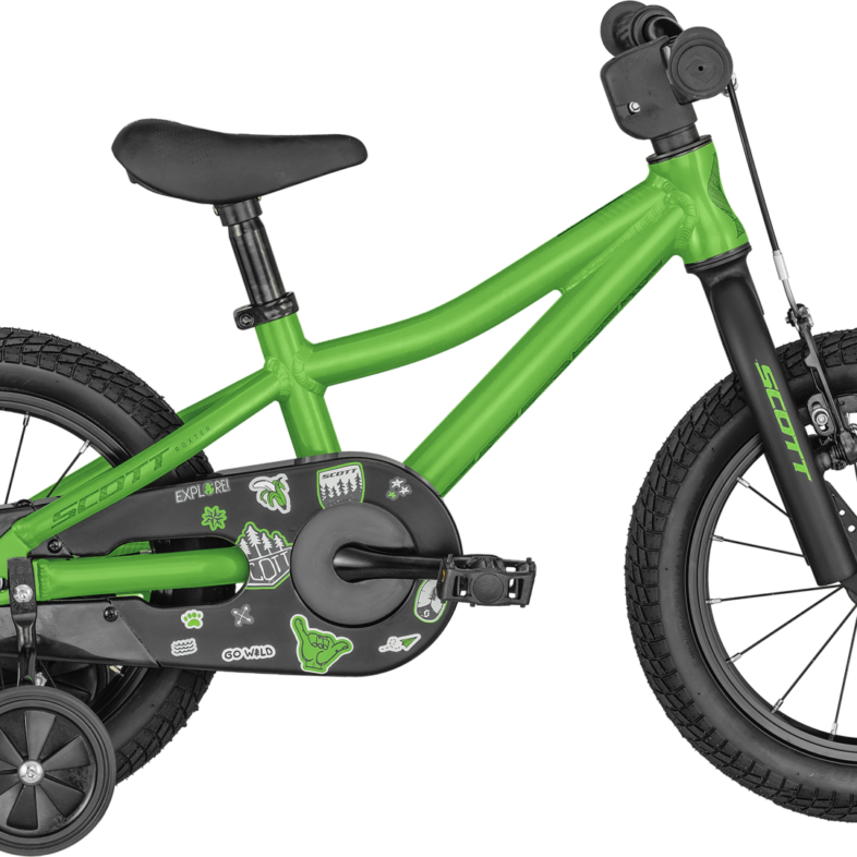 Scott Roxter 14 2024 - Grøn