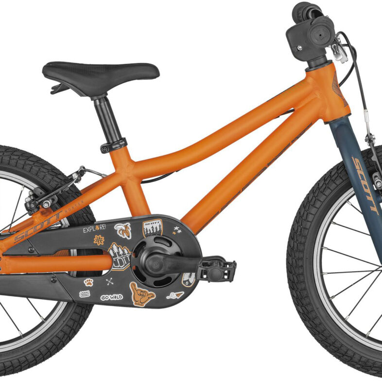 Scott Roxter 16 2024