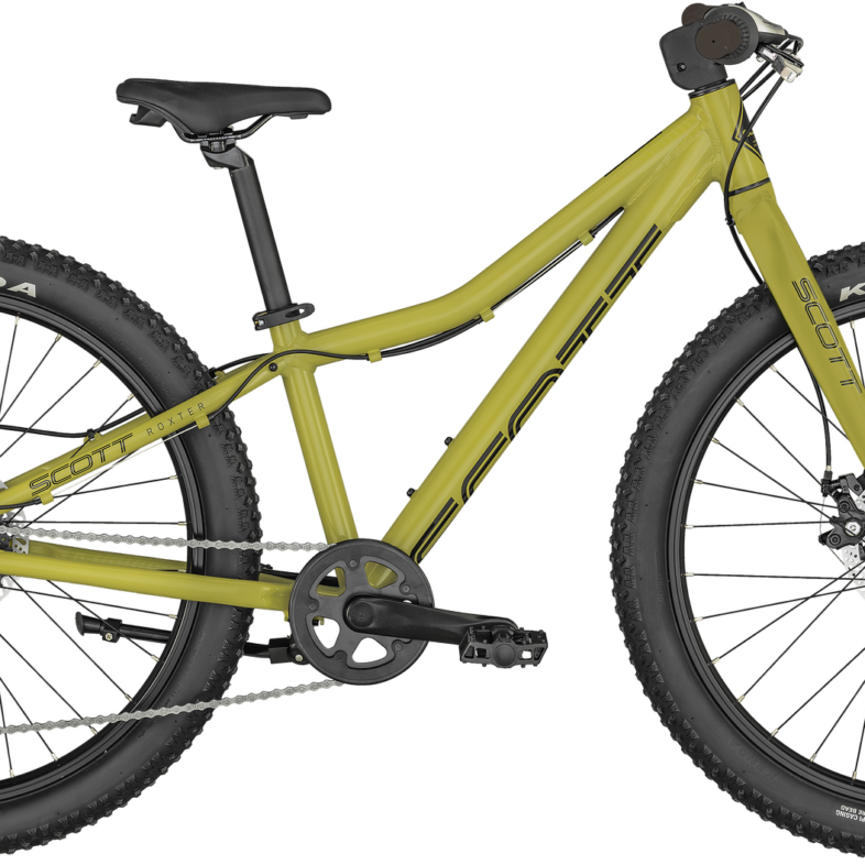 Scott Roxter 24 2024