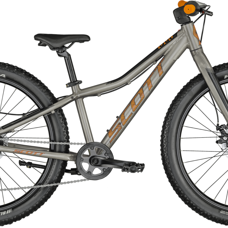 Scott Roxter 24 2024 - Grå