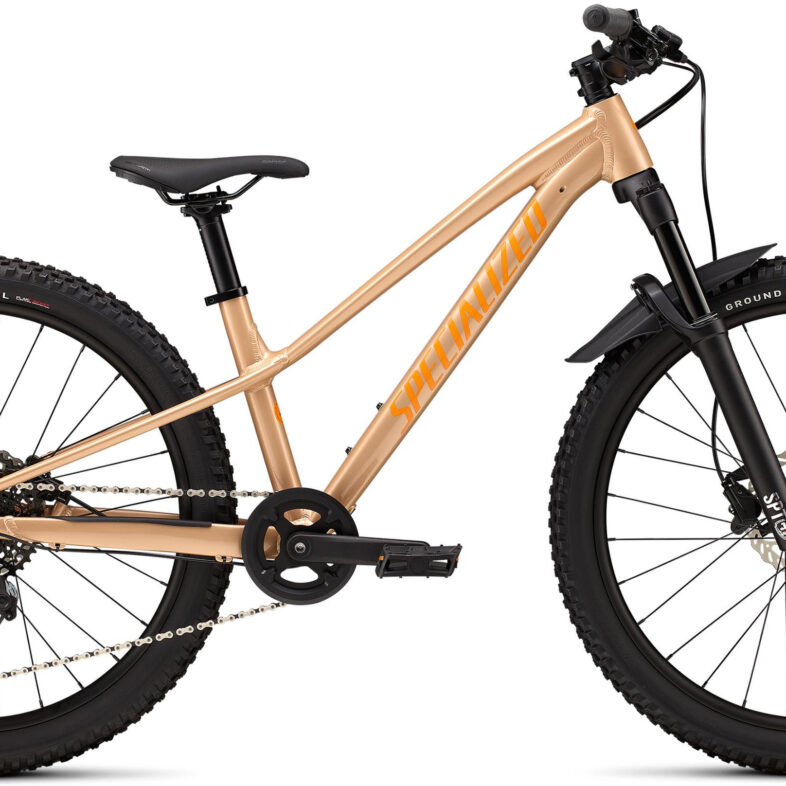 Specialized Riprock Comp 24 2026 - Gloss Photon Tint Over Flake Silver