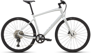 Specialized Sirrus X 4.0 2025 - Satin Silver Dust
